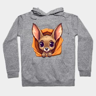 Curious Joey: Cute Kangaroo Pouch Hoodie